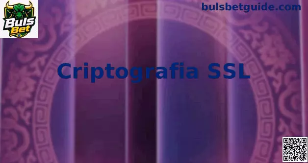 Interface de segurança com criptografia SSL e proteção de dados no Buls Bet